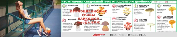 марки lsd Алексеевка