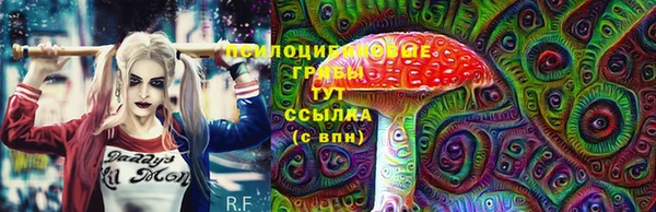 шишки Алзамай
