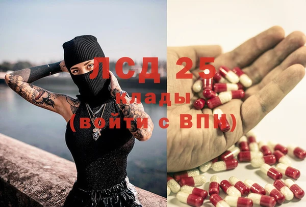 шишки Алзамай
