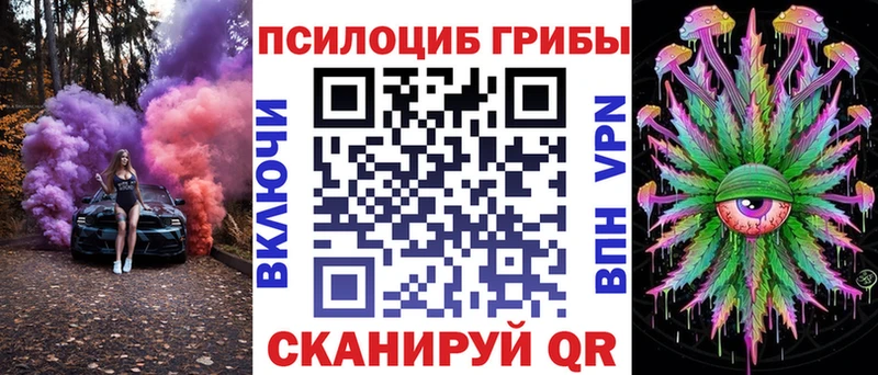 Псилоцибиновые грибы Cubensis магазин продажи Ермолино
